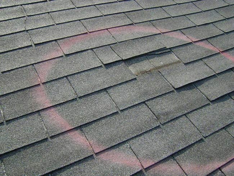 storm damage assistance